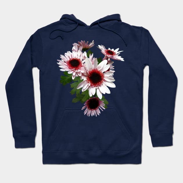 Chrysanthemums - Light Pink Mums With Dark Pink Center Hoodie by SusanSavad